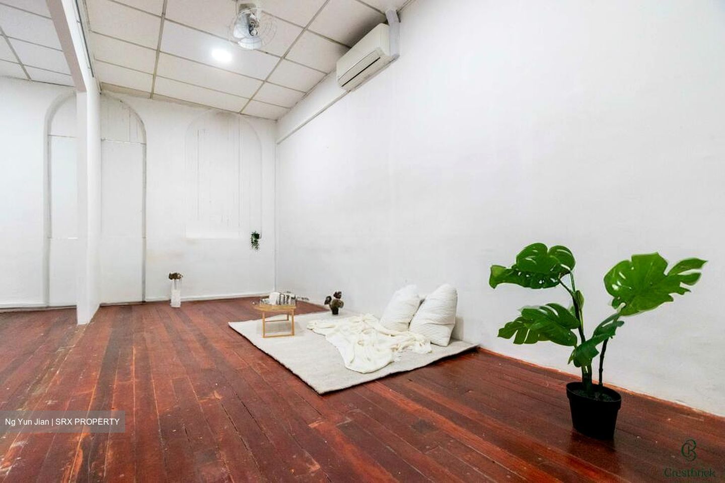Jalan Besar Stadium (D8), Shop House #497506111